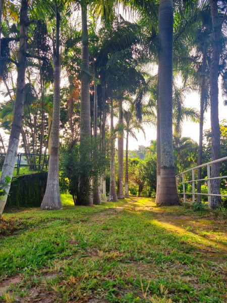 Sítio à venda Campina Verde com 21m² e 7 quartos por R$ 2.250.000 - 1367282873-whatsapp-image-2023-03-20-at-16.jpeg
