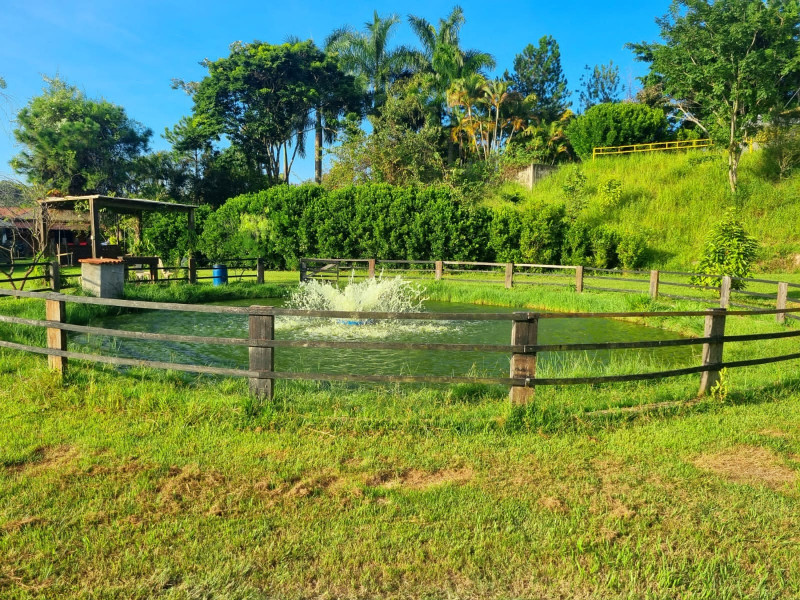 Sítio à venda Campina Verde com 21m² e 7 quartos por R$ 2.250.000 - 2031937123-whatsapp-image-2023-03-20-at-16.jpeg