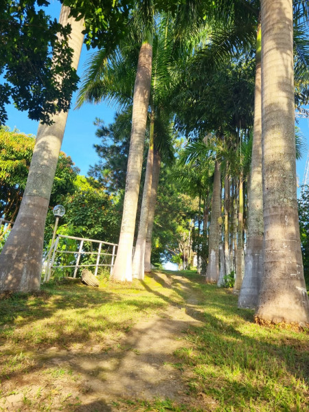 Sítio à venda Campina Verde com 21m² e 7 quartos por R$ 2.250.000 - 57721647-whatsapp-image-2023-03-20-at-16.jpeg