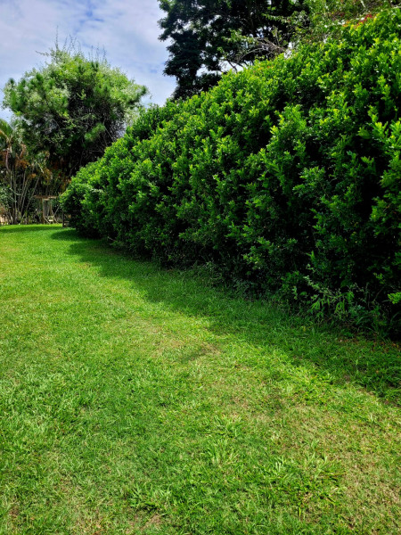 Sítio à venda Campina Verde com 21m² e 7 quartos por R$ 2.250.000 - 945906277-whatsapp-image-2023-03-20-at-16.jpeg