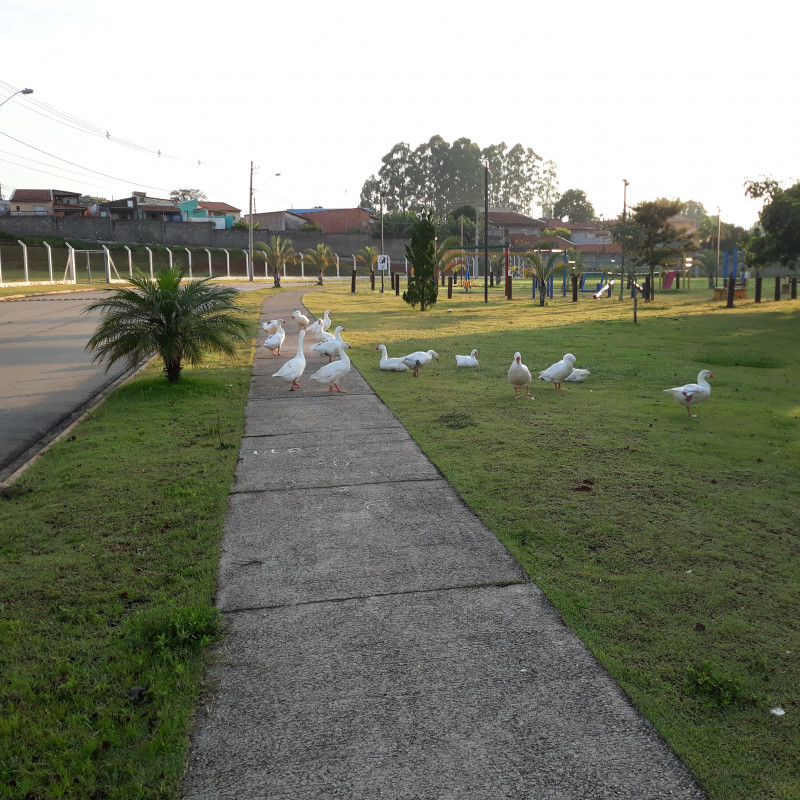 Casa de condomínio à venda Residencial Lago dos Ipês com 115m² e 3 quartos por R$ 635.000 - 1946692511-20230207-062633.jpg