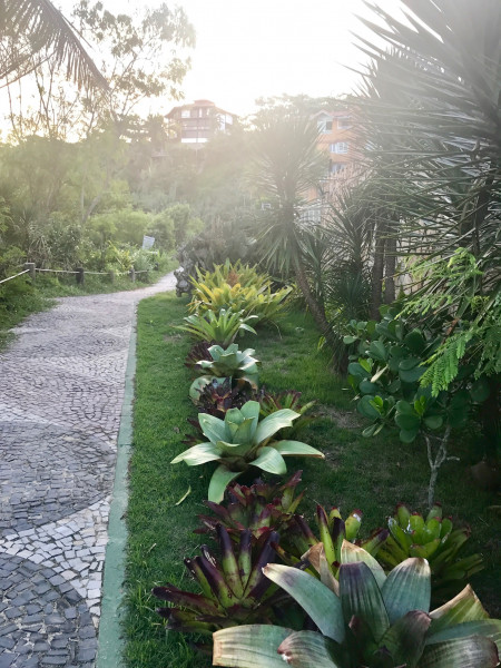 Cobertura à venda Camboinhas com 168m² e 2 quartos por R$ 1.850.000 - 644822815-img-0298.jpeg