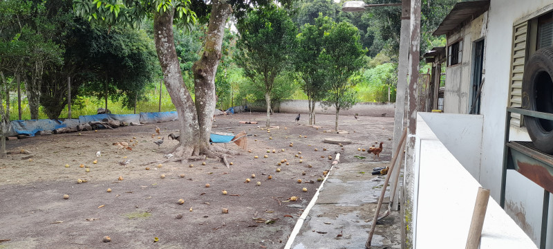 Chácara à venda Parque Alvorada II com 5m² e 4 quartos por R$ 330.000 - 104039572-20230205-142541.jpg