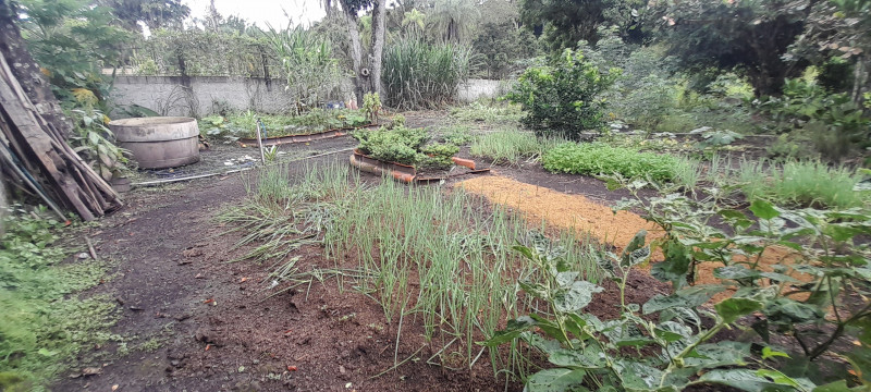 Chácara à venda Parque Alvorada II com 5m² e 4 quartos por R$ 330.000 - 1723911248-20230205-143035.jpg