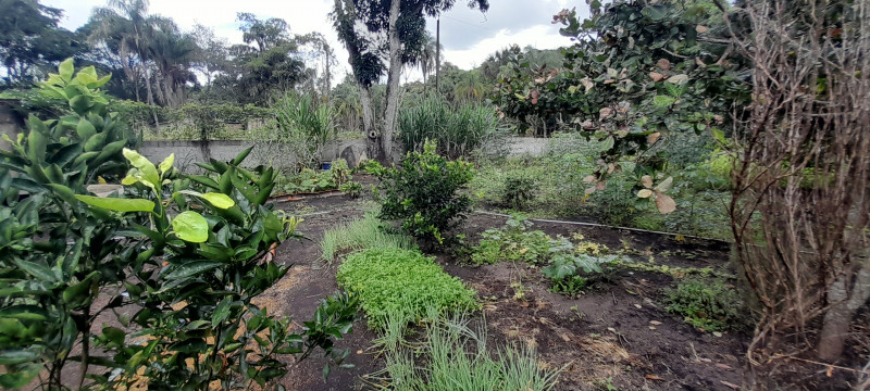 Chácara à venda Parque Alvorada II com 5m² e 4 quartos por R$ 330.000 - 2027602576-20230205-143004.jpg