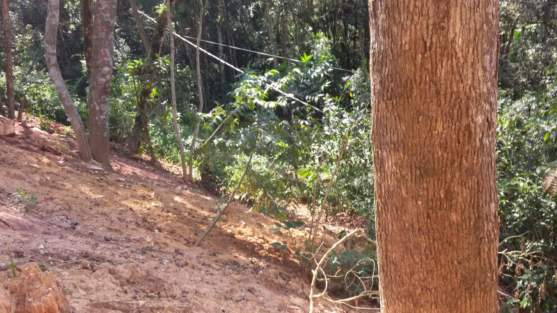 Terreno à venda Dos Pratas com 16000m² e 1 quarto por R$ 240.000 - 1212688356-pratas-1.jpg
