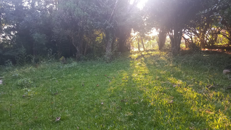 Terreno à venda Centro com 766m² e 1 quarto por R$ 200.000 - 1671448489-img-20230320-wa0011.jpg