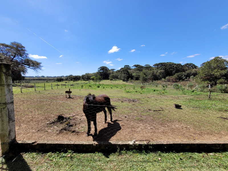 Chácara à venda Miringuava com 44m² e 3 quartos por R$ 1.600.000 - 1933958228-img-20220924-wa0020.jpg