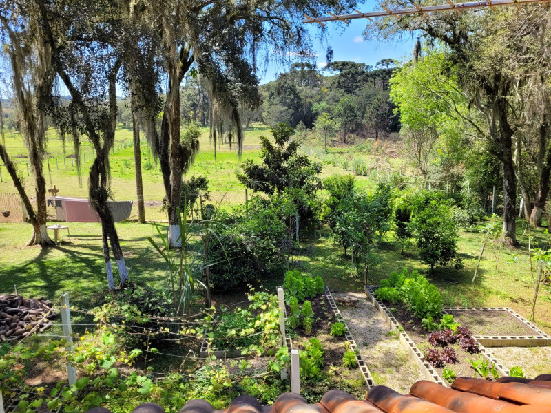Chácara à venda Miringuava com 44m² e 3 quartos por R$ 1.600.000 - 30506614-img-20220924-wa0022.jpg