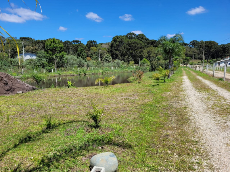 Chácara à venda Miringuava com 44m² e 3 quartos por R$ 1.600.000 - 352702402-img-20220924-wa0011.jpg