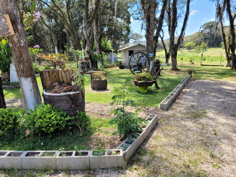 Chácara à venda Miringuava com 44m² e 3 quartos por R$ 1.600.000 - 675728865-img-20220924-wa0008.jpg