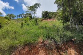 Terreno à venda Floresta com 792m² - 1 dormitório -  vagas - R$ 70.000 - 1411865327-img-20230117-122750326-hdr.jpg