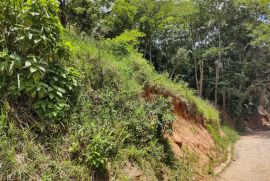 Terreno à venda Floresta com 792m² - 1 dormitório -  vagas - R$ 70.000 - 1631336946-img-20230117-122826887-hdr.jpg