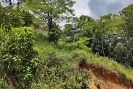 Terreno à venda Floresta com 792m² - 1 dormitório -  vagas - R$ 70.000 - 235667086-img-20230117-122833860-hdr.jpg