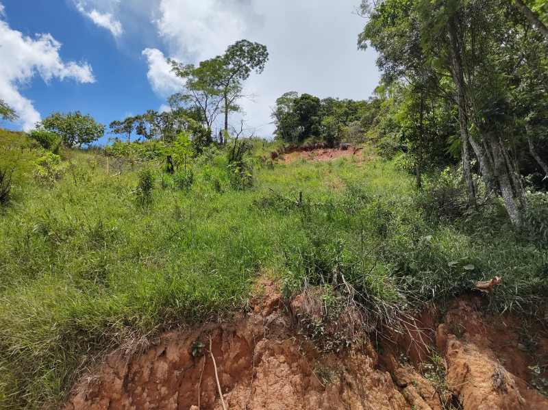 Terreno à venda Floresta com 792m² e 1 quarto por R$ 70.000 - 1411865327-img-20230117-122750326-hdr.jpg