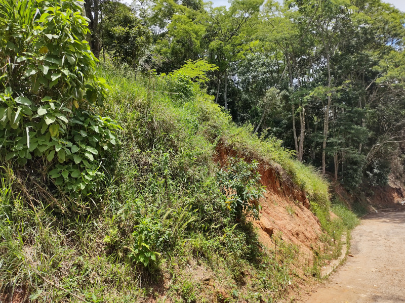 Terreno à venda Floresta com 792m² e 1 quarto por R$ 70.000 - 1631336946-img-20230117-122826887-hdr.jpg