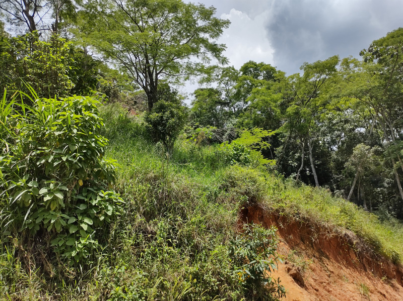 Terreno à venda Floresta com 792m² e 1 quarto por R$ 70.000 - 235667086-img-20230117-122833860-hdr.jpg