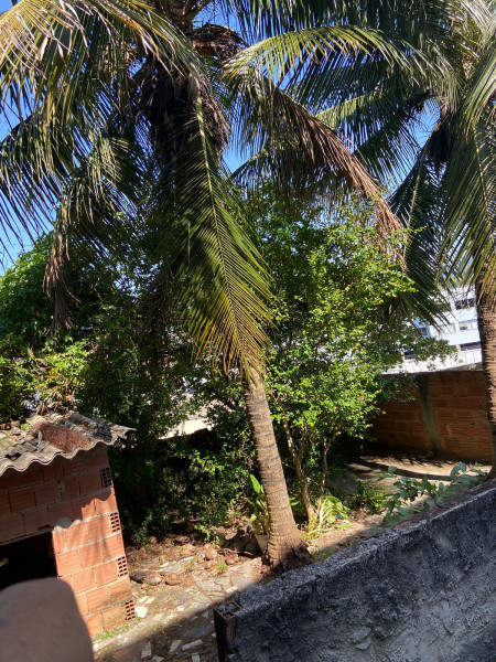 Casa à venda Guadalupe com 200m² e 3 quartos por R$ 350.000 - 280918485-img-20230326-wa0020.jpg