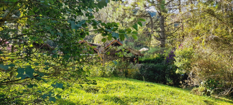 Terreno à venda Fazenda Inglesa com 256m² e 1 quarto por R$ 200.000 - 1933813160-whatsapp-image-2022-11-29-at-16.jpeg