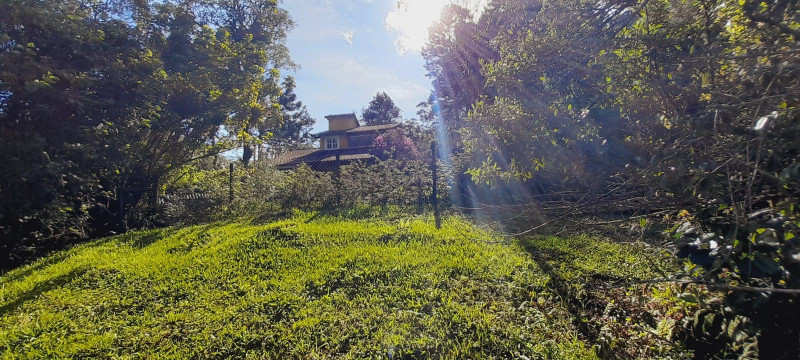 Terreno à venda Fazenda Inglesa com 256m² e 1 quarto por R$ 200.000 - 687723125-whatsapp-image-2022-11-29-at-16.jpeg