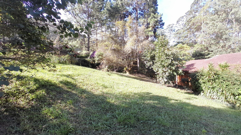 Terreno à venda Fazenda Inglesa com 256m² e 1 quarto por R$ 200.000 - 818019663-whatsapp-image-2022-11-29-at-16.jpeg