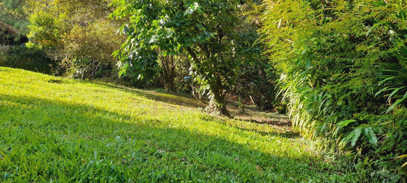 Terreno à venda Fazenda Inglesa com 256m² e 1 quarto por R$ 200.000 - 868925002-whatsapp-image-2022-11-29-at-16.jpeg