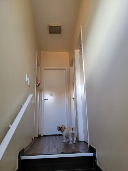 Casa de condomínio à venda Jardim São Carlos com 130m² e 3 quartos por R$ 680.000 - 430678326-14.jpeg