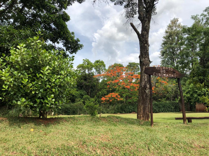 Chácara à venda Santana com 6000m² e 5 quartos por R$ 2.500.000 - 113947125-vista-da-piscina-para-cima.jpeg