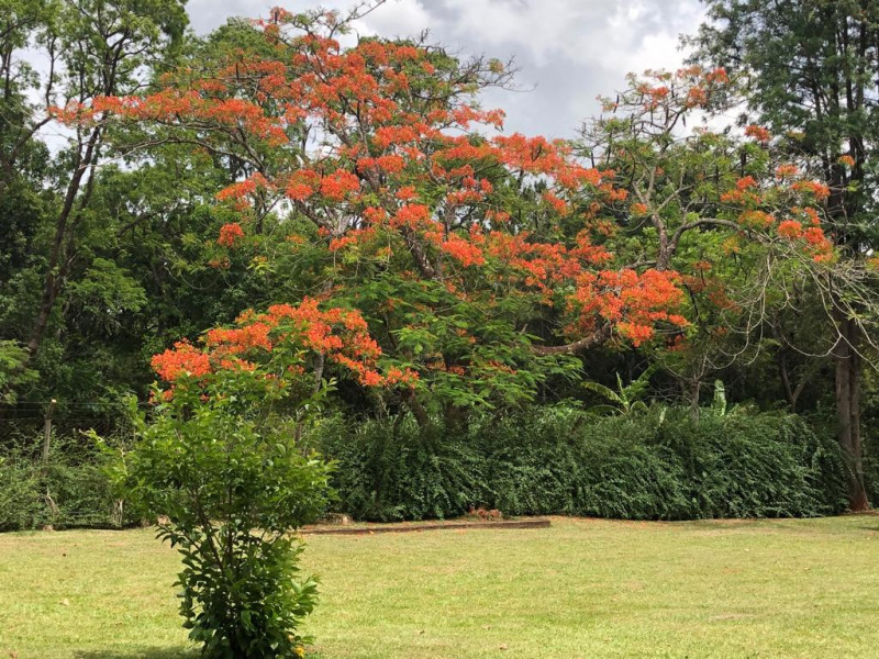 Chácara à venda Santana com 6000m² e 5 quartos por R$ 2.500.000 - 1655547999-vista-gramados-3.jpeg
