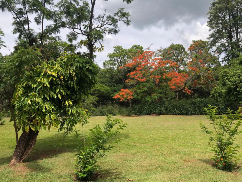 Chácara à venda Santana com 6000m² e 5 quartos por R$ 2.500.000 - 2124184722-gramados-2.jpeg