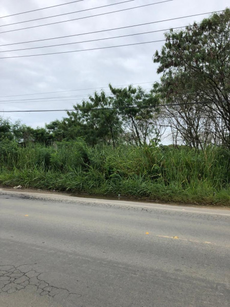 Terreno à venda Cidade Jardim Marajoara com 7000m² e 1 quarto por R$ 1.100.000 - 1028555805-photo-2023-03-28-08-58-56-1.jpg