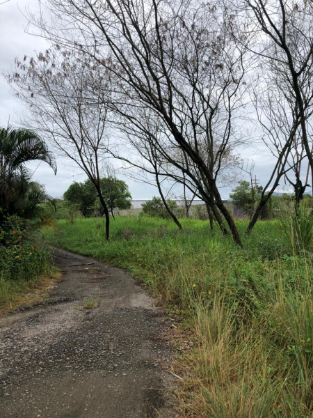 Terreno à venda Cidade Jardim Marajoara com 7000m² e 1 quarto por R$ 1.100.000 - 1508783430-photo-2023-03-28-08-58-56-4.jpg