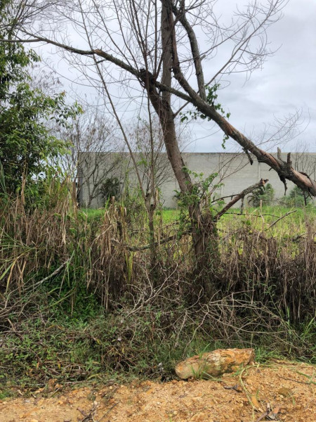 Terreno à venda Cidade Jardim Marajoara com 7000m² e 1 quarto por R$ 1.100.000 - 457982882-photo-2023-03-28-08-58-56-7.jpg