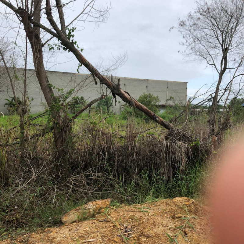 Terreno à venda Cidade Jardim Marajoara com 7000m² e 1 quarto por R$ 1.100.000 - 486118969-photo-2023-03-28-08-58-56-3.jpg