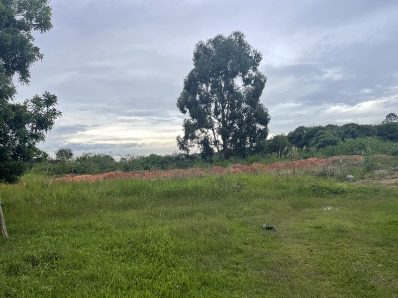 Chácara à venda Santa Candida com 880m² e 3 quartos por R$ 890.000 - 1237961160-ccdefb9a-fb5e-4c45-9a42-f82ac9aac0d5.jpeg