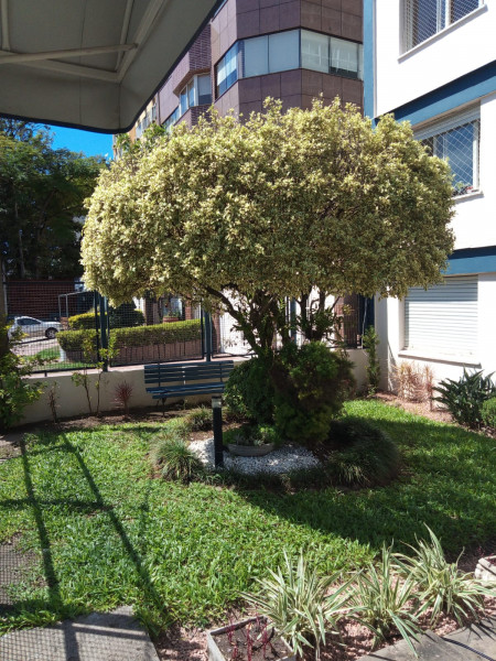 Apartamento à venda Mont Serrat com 43m² e 1 quarto por R$ 195.000 - 539277336-img-20230309-wa0004.jpg