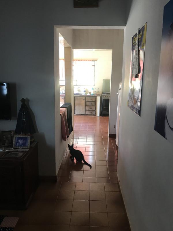 Casa à venda Centro com 200m² e 4 quartos por R$ 280 - 751867681-a18ab814-69ec-409a-a979-bfb97b0eb967.jpeg