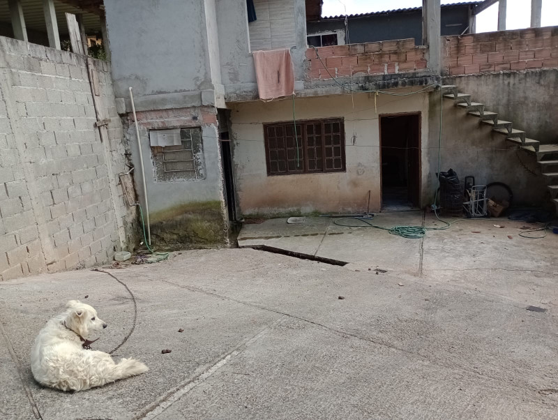 Casa à venda Centro com 375m² e 4 quartos por R$ 500.000 - 1294314336-img-20230321-wa0043.jpg