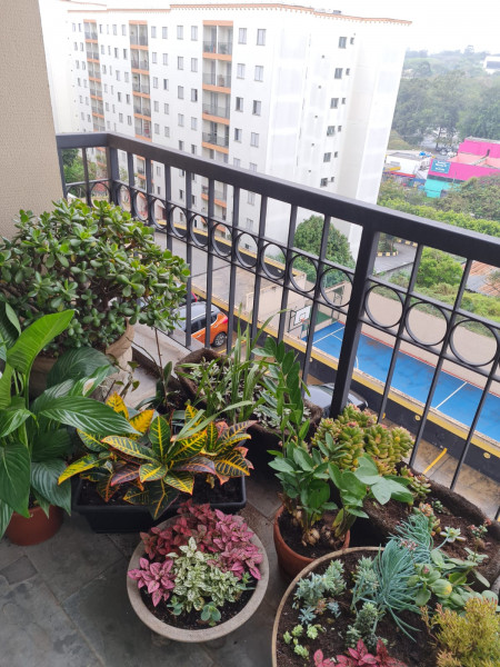 Apartamento à venda Cidade São Francisco com 52m² e 2 quartos por R$ 380.000 - 1540234012-img-20220915-wa0038.jpg
