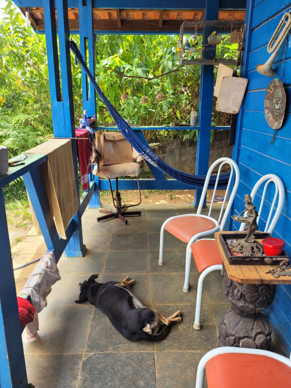 Chácara à venda Parque do Imbui com 600m² e 3 quartos por R$ 250.000 - 354006359-20230202-112802.jpg