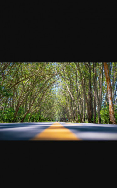 Casa à venda Magistério  com 100m² e 3 quartos por R$ 159.000 - 1071726089-whatsapp-image-2023-04-04-at-15.jpeg