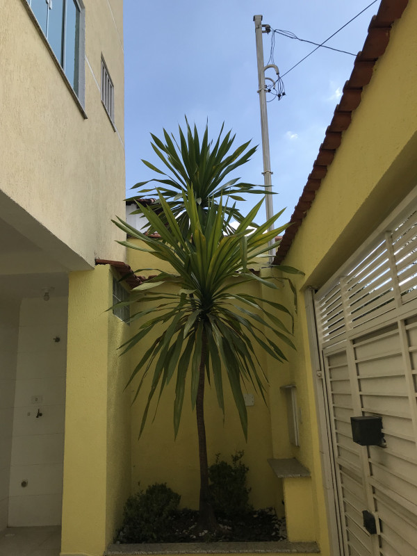 Casa à venda Vila Camilópolis com 90m² e 2 quartos por R$ 420.000 - 1752469901-f330c923-8694-48d3-a61e-42f11d3a9ef5.jpeg