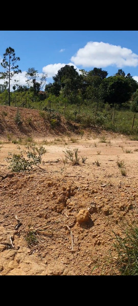 Terreno à venda Dona Catarina com 1200m² e 1 quarto por R$ 83.000 - 1657333377-screenshot-2023-03-30-00-29-58-591-com.jpg