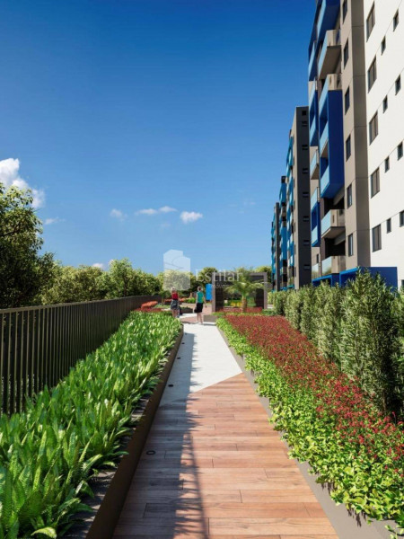 Apartamento à venda Campo Comprido com 80m² e 3 quartos por R$ 550.000 - 1989888318-corredor.jpg