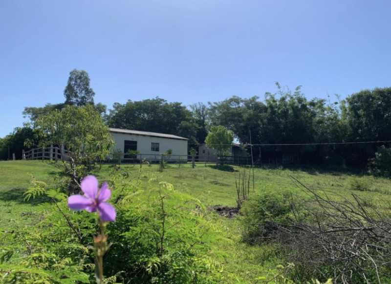 Sítio à venda Centro com 130000m² e 3 quartos por R$ 220 - 1640832689-2bd85d57-81a9-4789-9b12-d9cba4ec50cd.jpeg