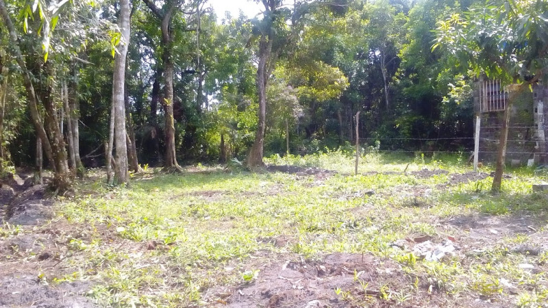 Studio à venda Vila Santa Clara com 15m² e 1 quarto por R$ 230.000 - 662564377-terreno-09.JPG