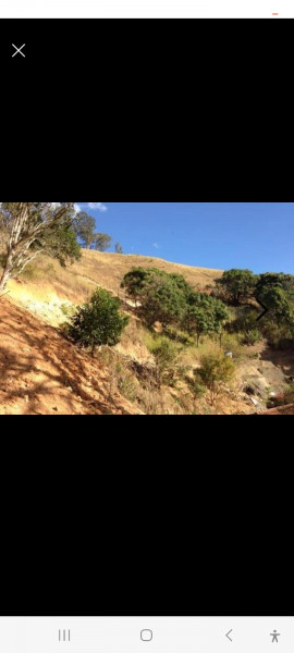 Terreno à venda Centro com 1900m² e 1 quarto por R$ 120.000 - 1129156215-screenshot-20230315-195709-facebook.jpg