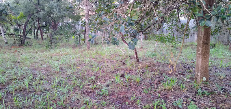 Terreno à venda Setor Habitacional Tororó (Santa Maria) com 873m² e 1 quarto por R$ 260.000 - 1012050059-img-20230409-064049364.jpg