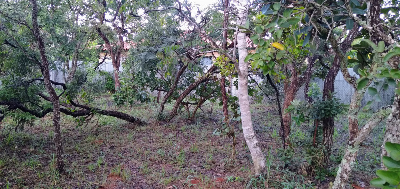 Terreno à venda Setor Habitacional Tororó (Santa Maria) com 873m² e 1 quarto por R$ 260.000 - 1810091768-img-20230409-064132027.jpg