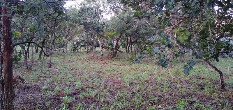 Terreno à venda Setor Habitacional Tororó (Santa Maria) com 873m² e 1 quarto por R$ 260.000 - 357360020-img-20230409-064057356.jpg
